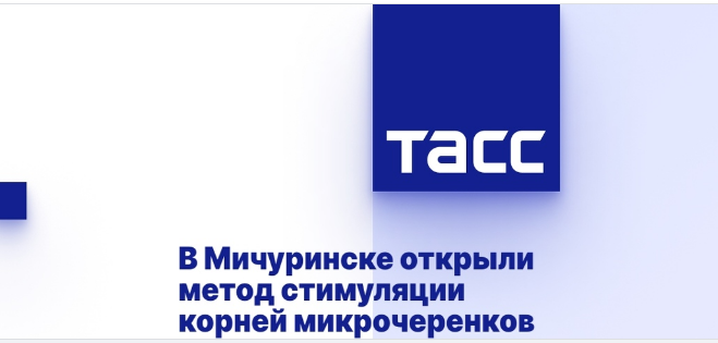 Научные достижения университета отмечены на федеральном уровне