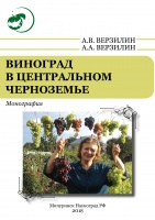 Виноград в Центральном Черноземье