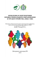 Проблемы и перспективы профессионального образования и трудоустройства лиц с ОВЗ