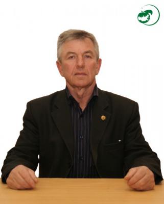 Верзилин Александр Васильевич