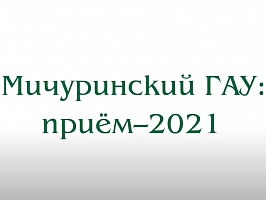 Активная пора в приёмной комиссии Мичуринского ГАУ.