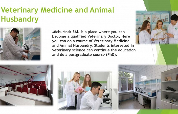 День открытых дверей для иностранных абитуриентов