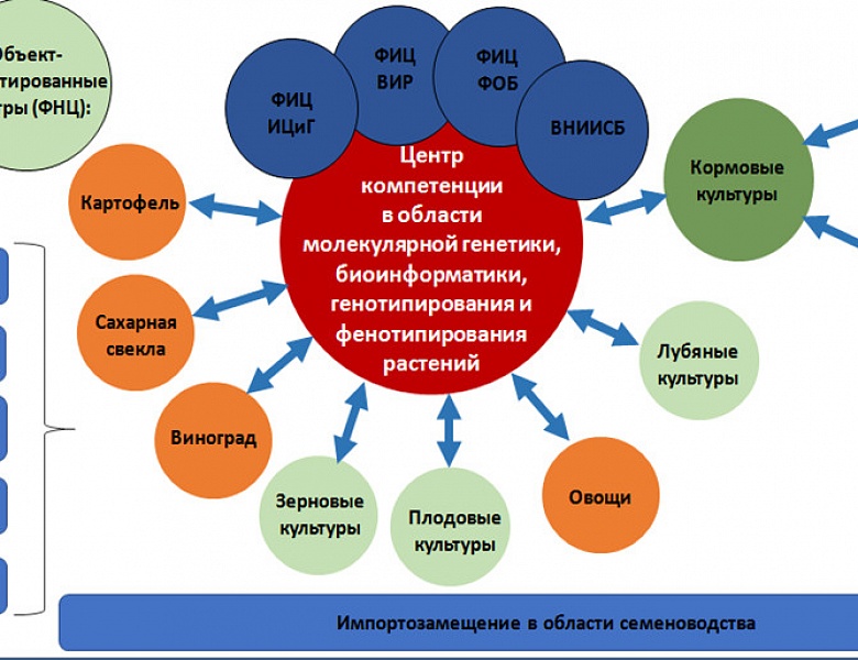 Высокотехнологичные проекты полного цикла  в области генетики, селекции и семеноводства растений в Российской Федерации