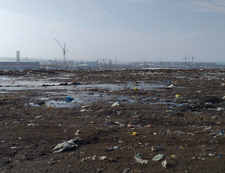 Орнитологи агроуниверситета оценили состояние мусорного полигона в Притамбовье
