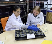 фотография 7.jpg