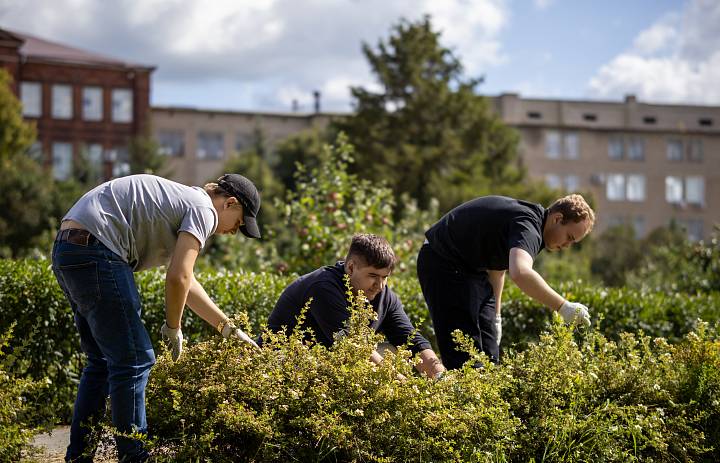 Студенты проходят практику